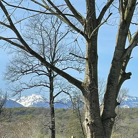 La La Puyerre